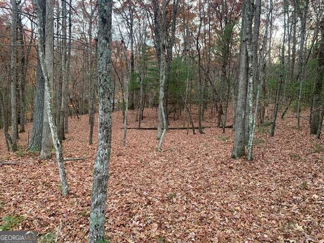 Property Photo:  Lot 4 Courtney Lane  GA 30512 