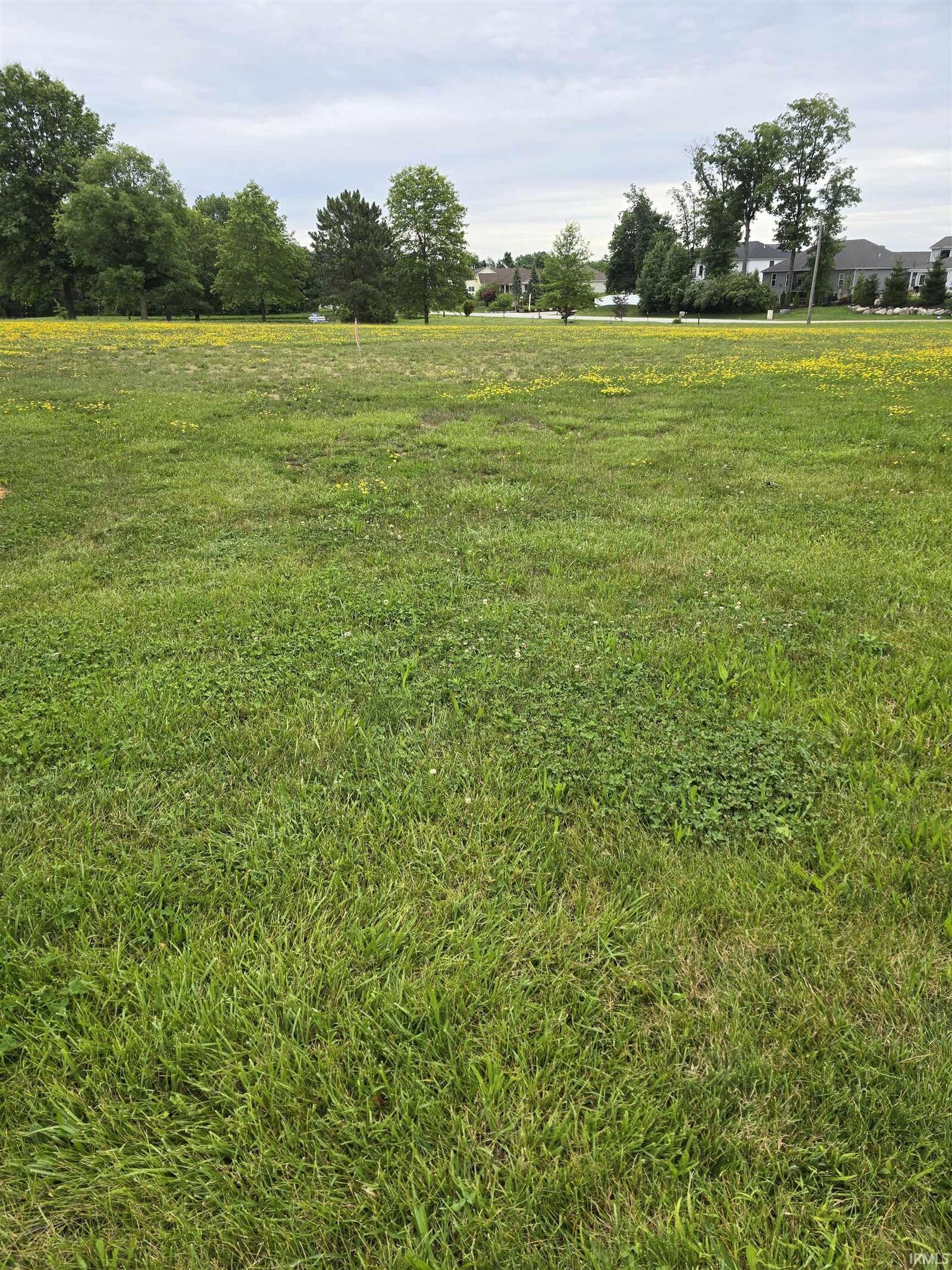 Property Photo:  Tbd Union Chapel Road  IN 46845 