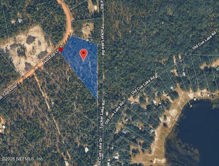 Property Photo:  181 Hill Top Loop  FL 32640 