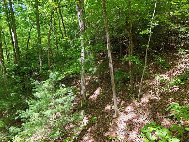 Property Photo:  Lot 12 Hightower Ridge  GA 30546 