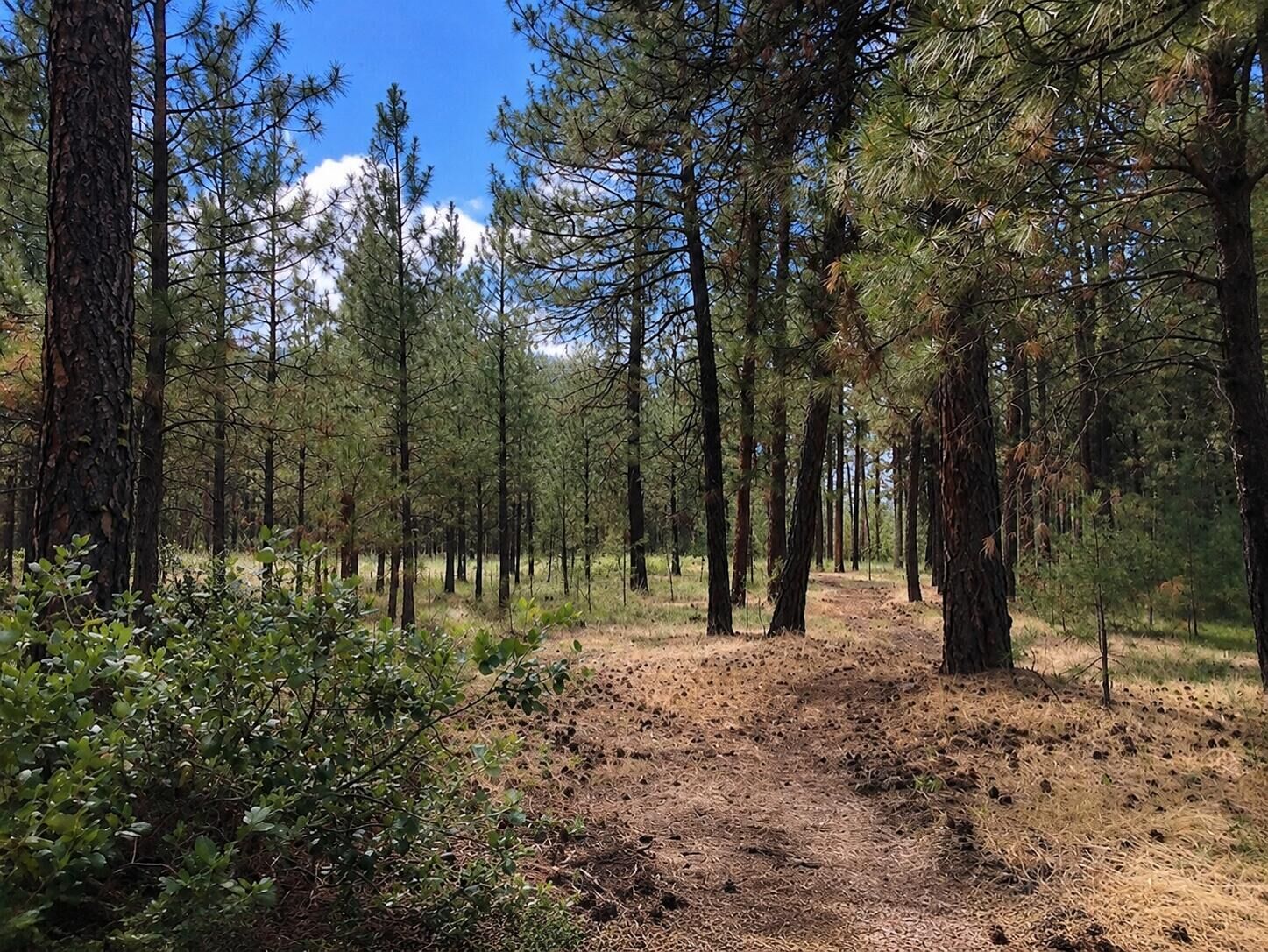 Property Photo:  1213 Fumi Cir  WA 99141 