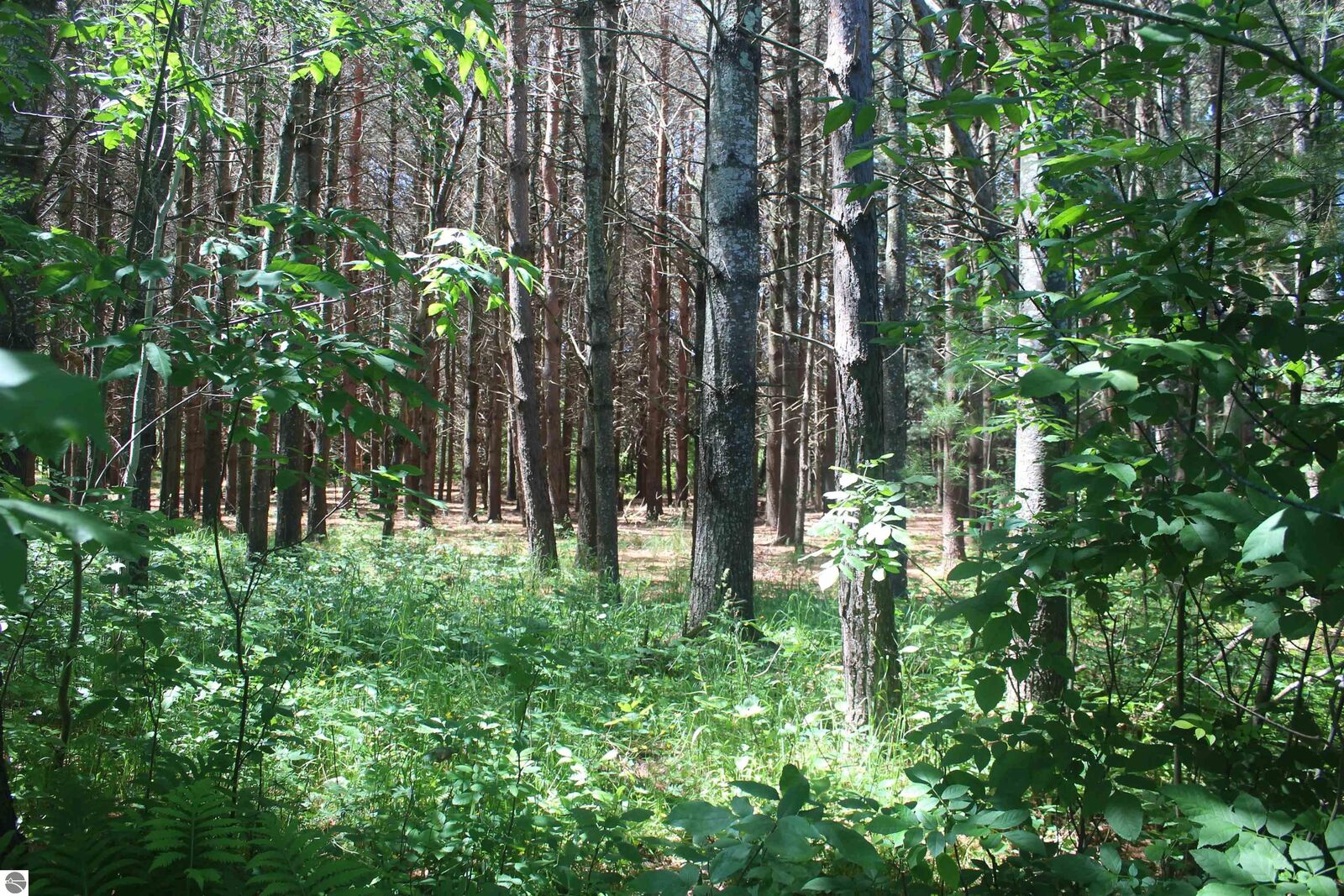 Property Photo: 00 Stone Circle Drive MI 49648