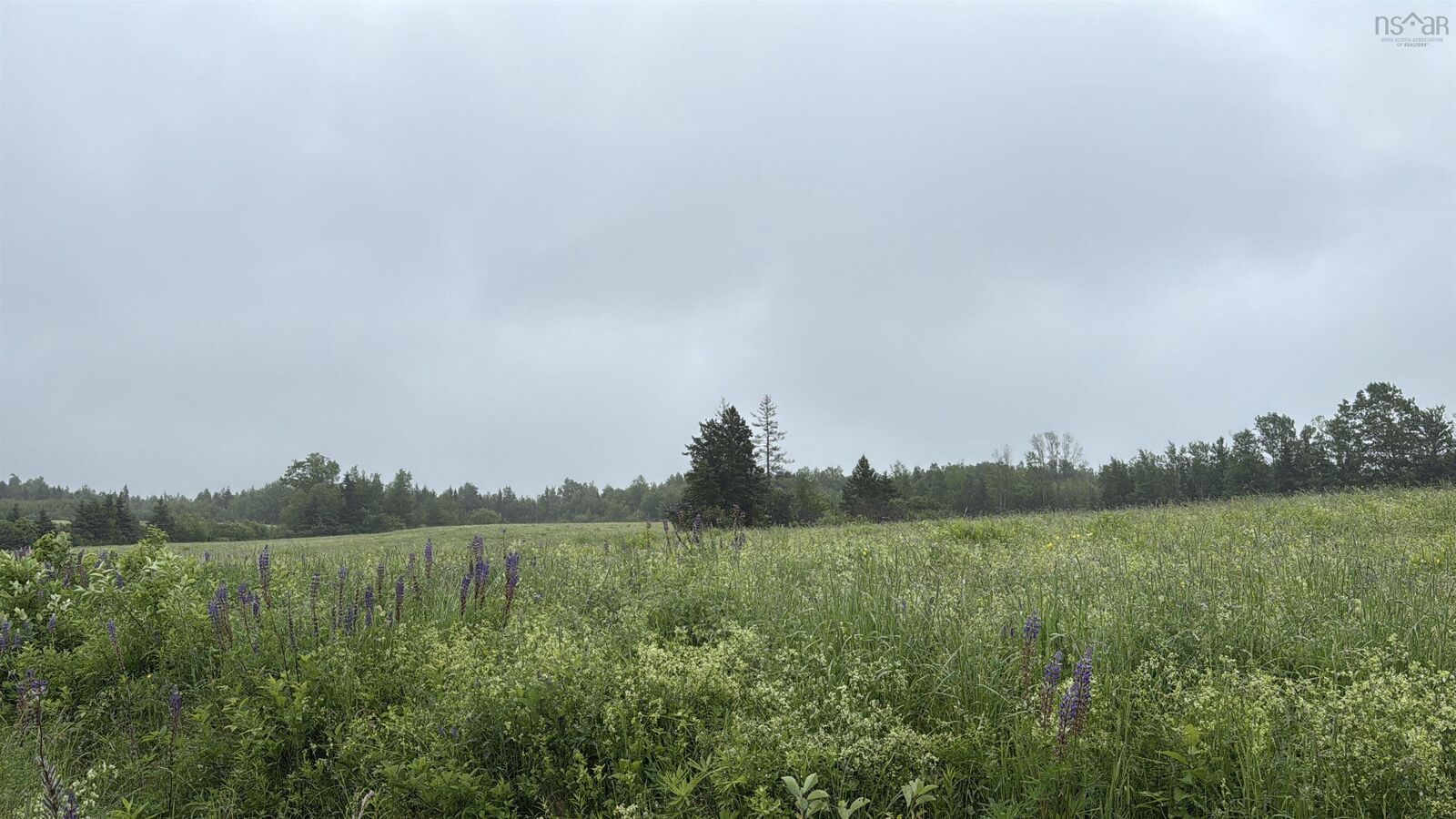 Property Photo:  Wallie Mingo Road  NS B0K 1V0 