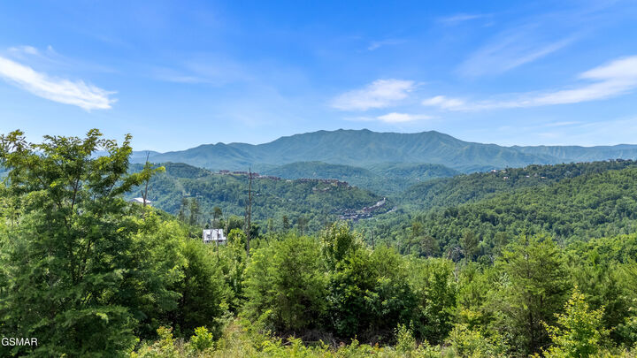 Property Photo: Lot 3 Cove Mountain Road Road TN 37738