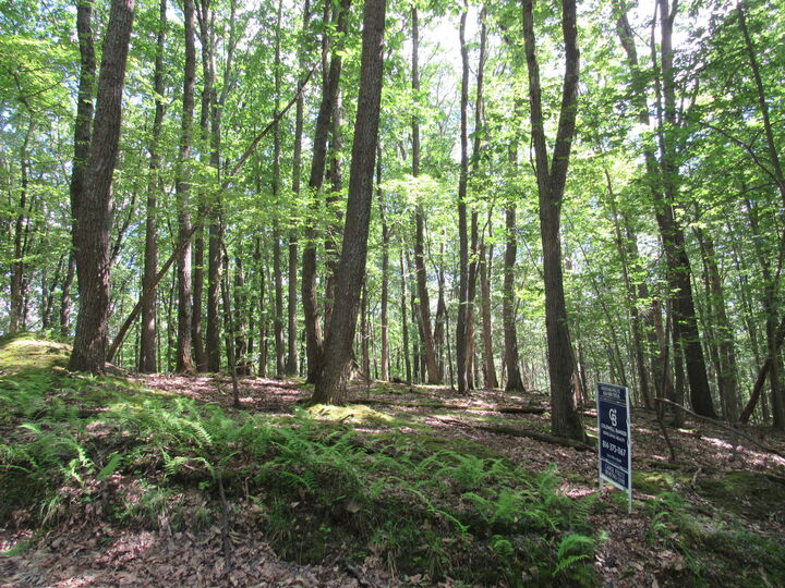 Property Photo: 14B San Andres PA 15801