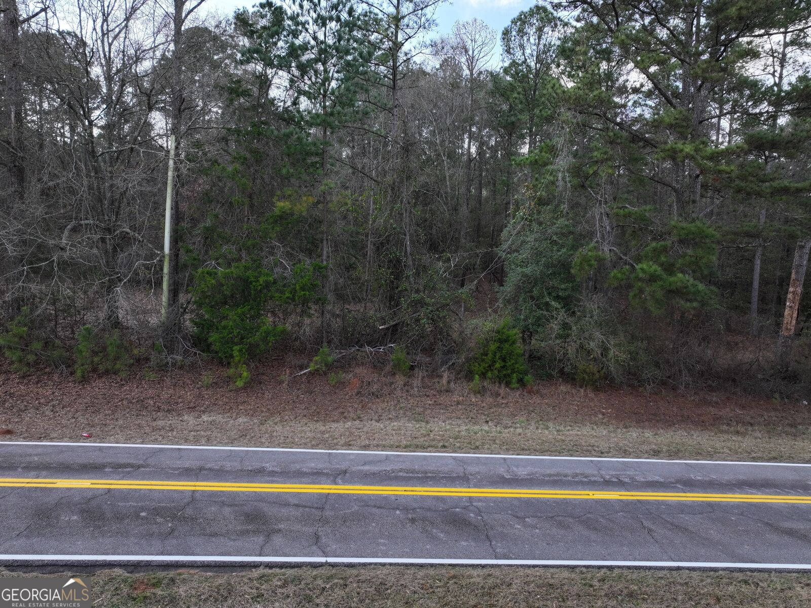 Property Photo:  Lot 1 Salem Road  GA 31822 