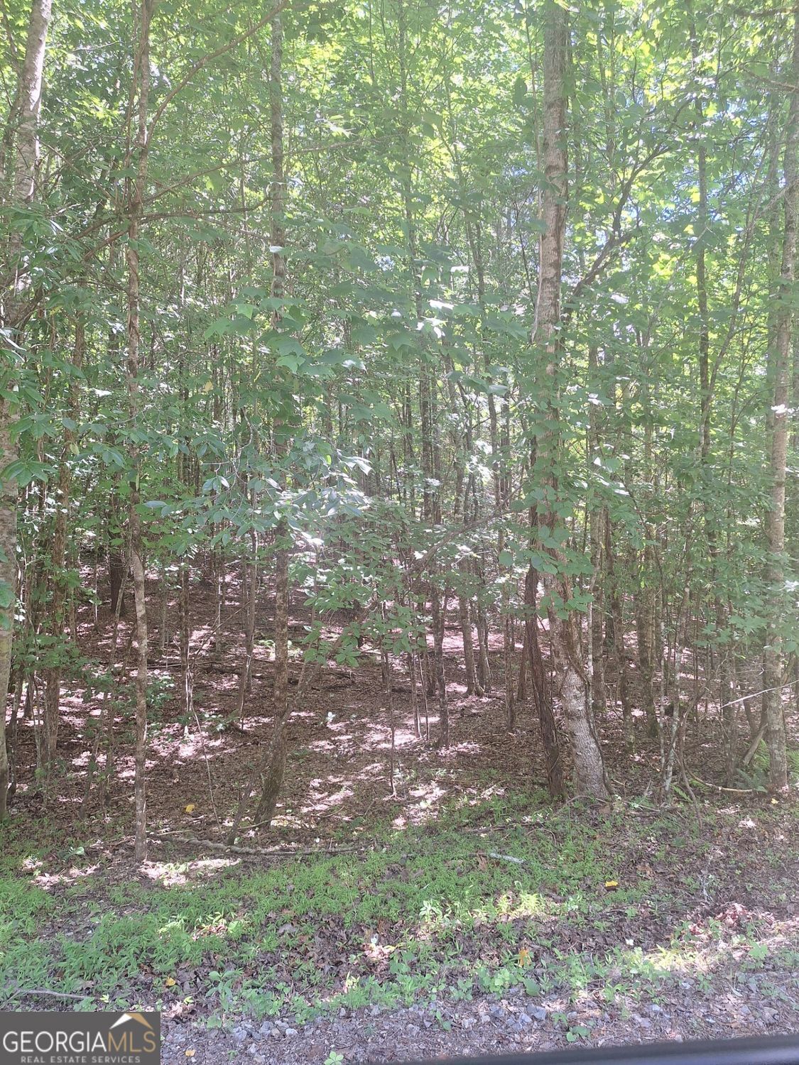 Property Photo: 0 Judah Road GA 30560