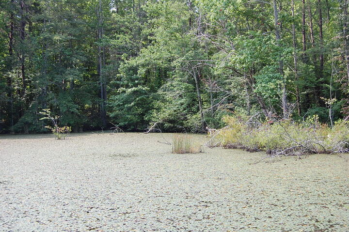 Property Photo: 57 Hugh Allison Road TN 37367