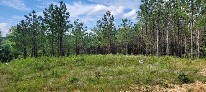 Property Photo: 96 Evergreen Dr TN 37058