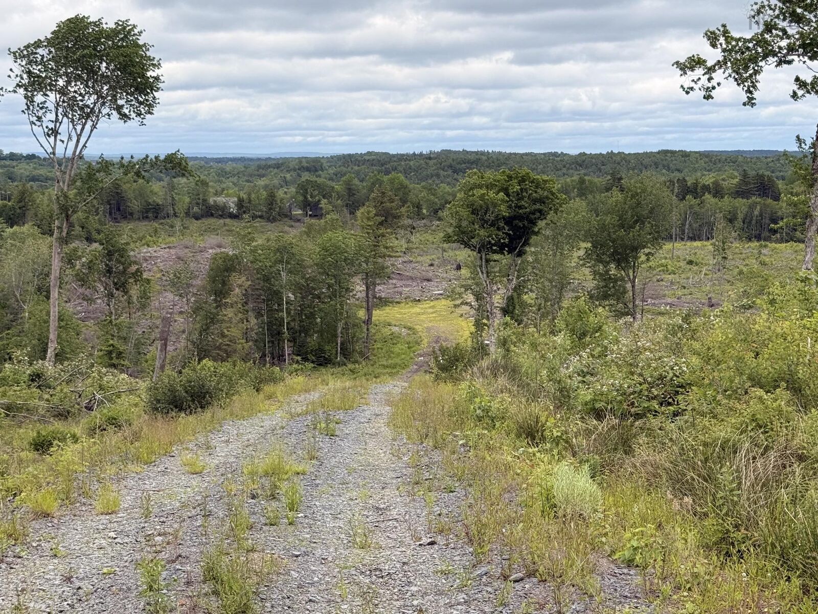 Property Photo:  Lot 1 Big Lots Road  NS B0J 1E0 