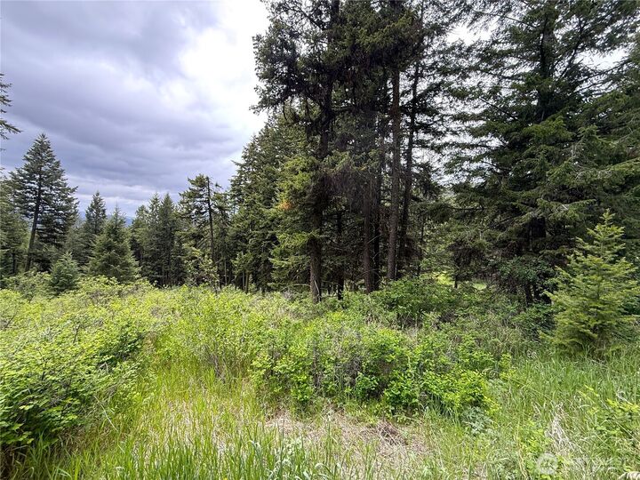 Property Photo:  0  Pontiac Ridge Road  WA 98844 