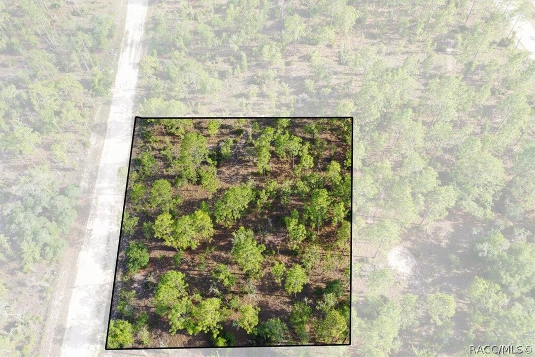 Property Photo: 0000 NE 132nd Lot 2 Terrace FL 32696