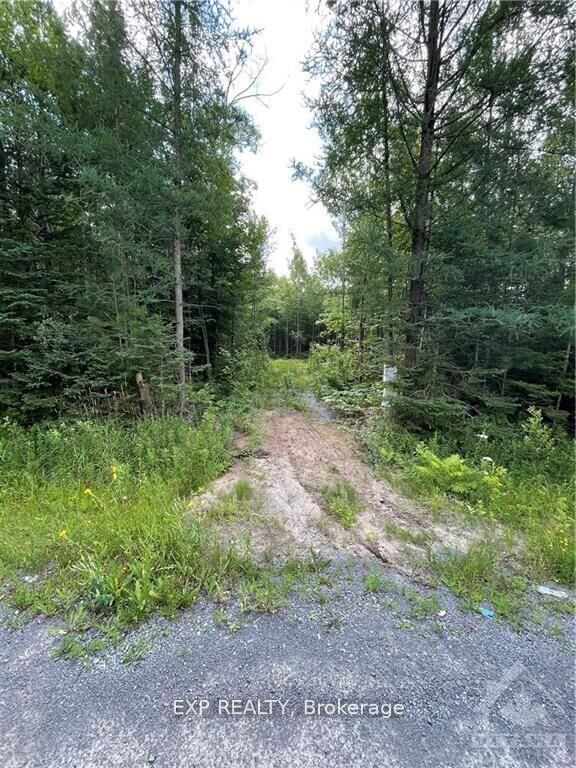 00 A2 Concession Road 4 Road — photo 1