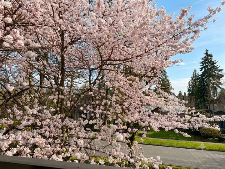Property Photo: 2599 W 36th Avenue BC V6N 2P6