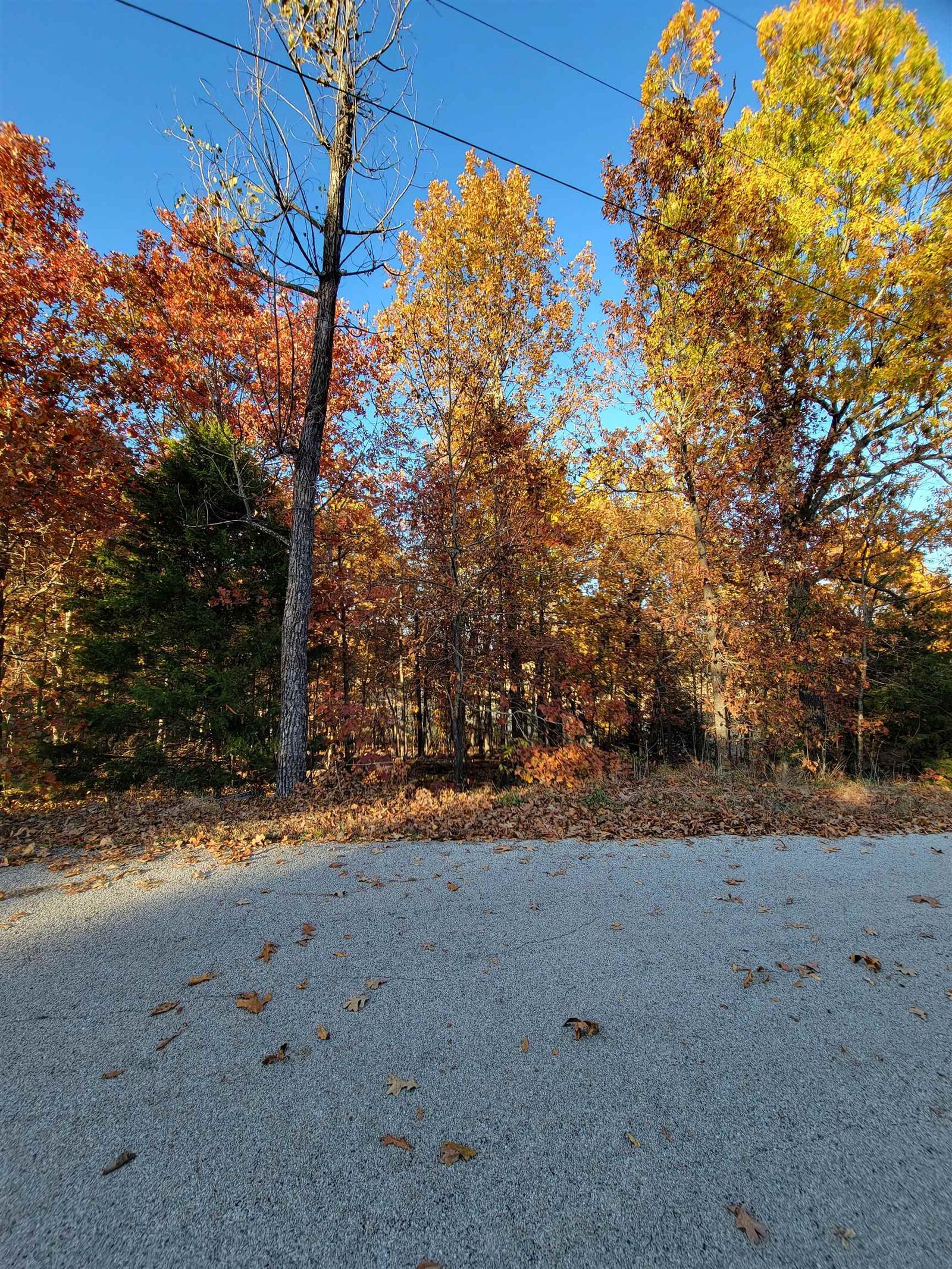 Property Photo: 17 Tohatchi Circle AR 72529