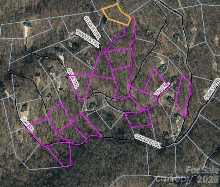 Property Photo:  15 Lots Odalu Trail  NC 28751 