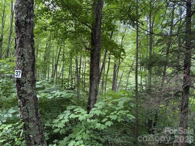 Property Photo:  Lot 37 Odalu Trail 37  NC 28751 