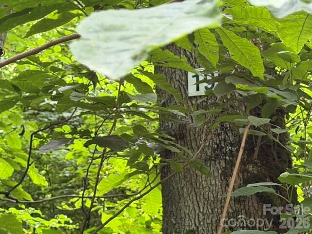 Property Photo:  Lot 19 Iga Trail 19  NC 28751 
