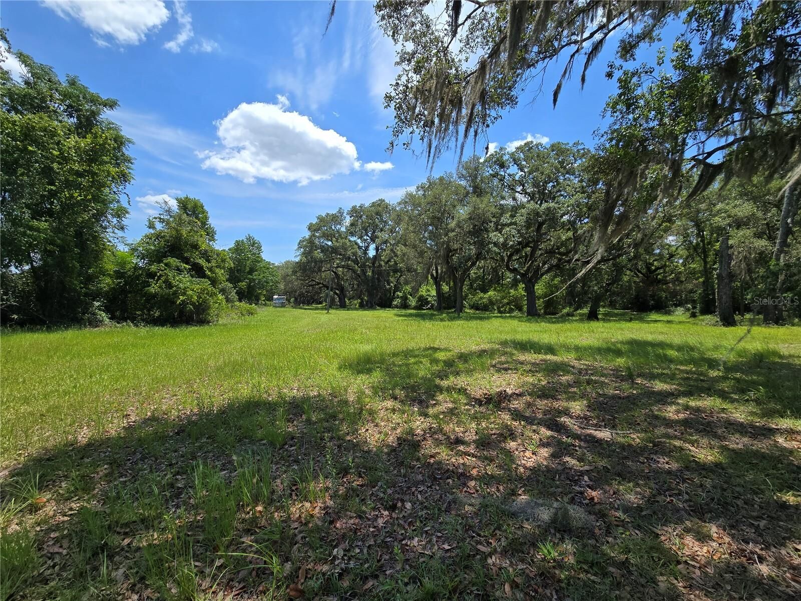 Property Photo:  7563 SE County Road 405  FL 32008 