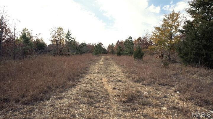 Property Photo:  0 Highway 49 Tract 5  MO 63957 