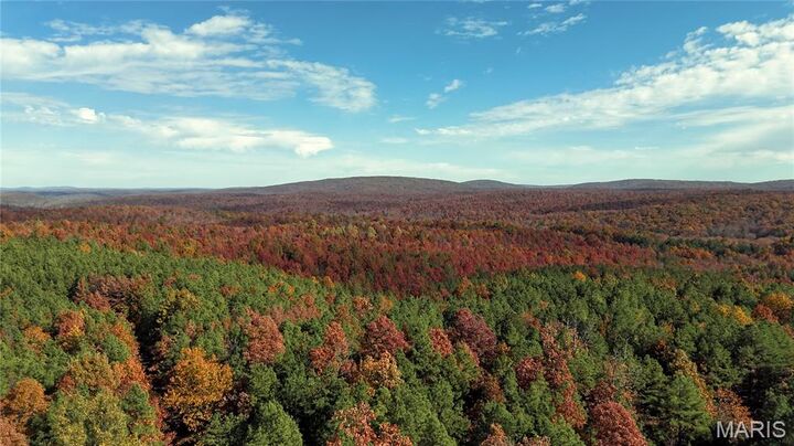 Property Photo:  0 Highway 49 Tract 1-13  MO 63957 