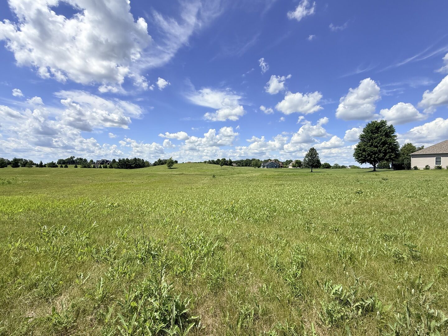 Property Photo:  15685 S Stonewall Drive  IL 60541 