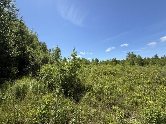 Property Photo: Map10lotp 214 ME 04657