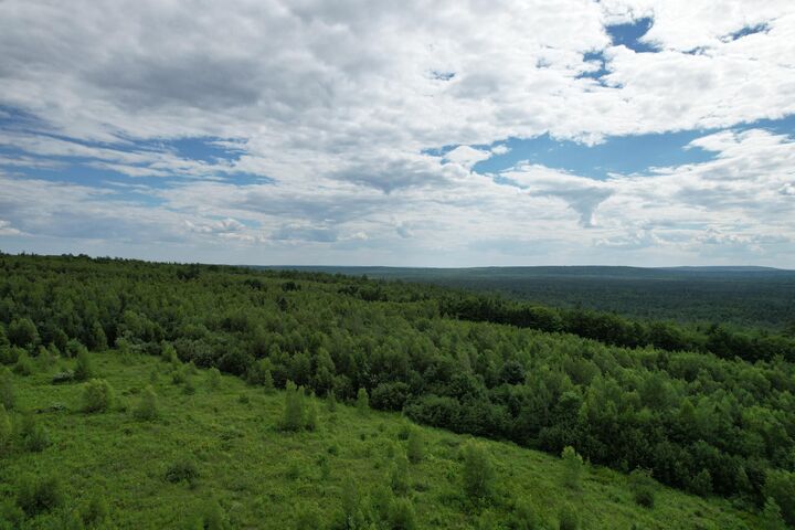 Property Photo: Map10lotp 214 ME 04657