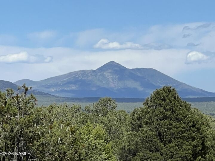 Property Photo:  7432 Daisy Drive  AZ 86046 