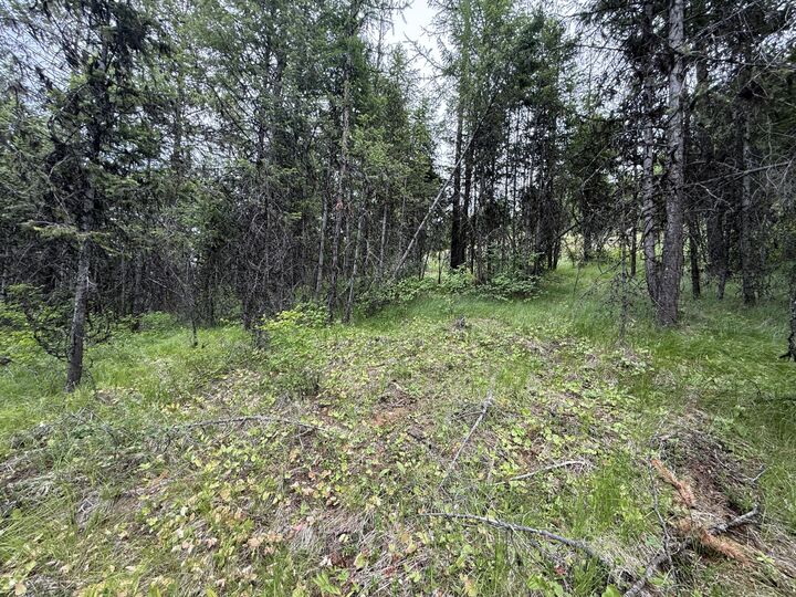 Property Photo:  Tbd Mule Deer Rd  WA 99166 