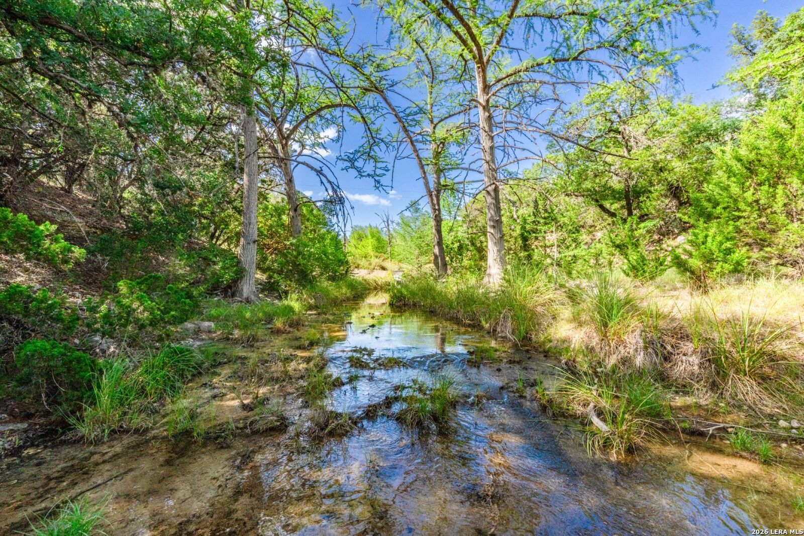 Property Photo: 650 Evans Creek Road TX 78885
