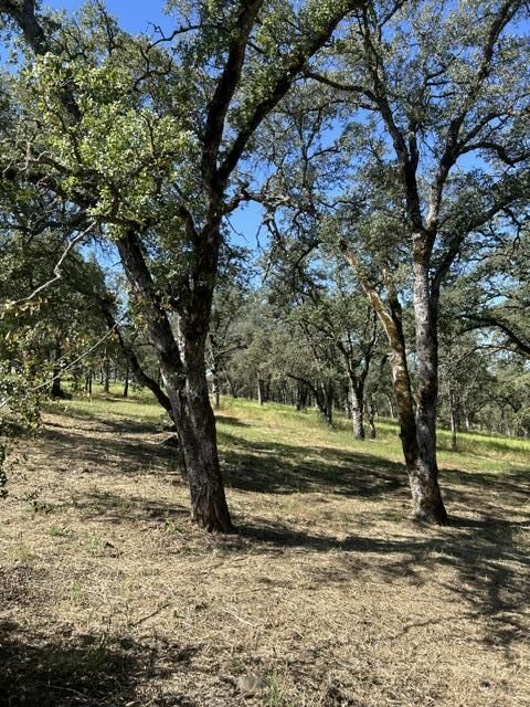 Property Photo:  1100 Firth Way  CA 95762 