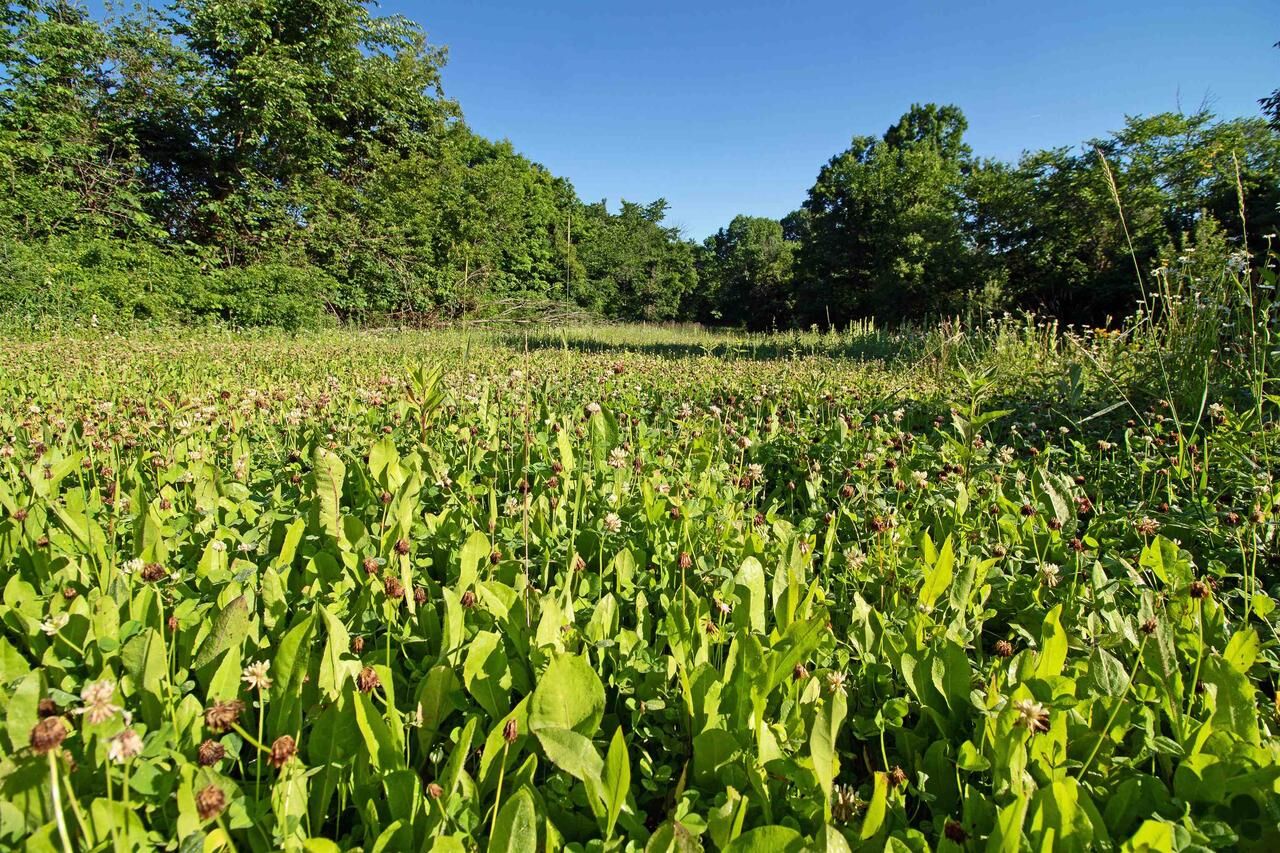 Property Photo:  76 Acres Skyline Road  WI 53518 