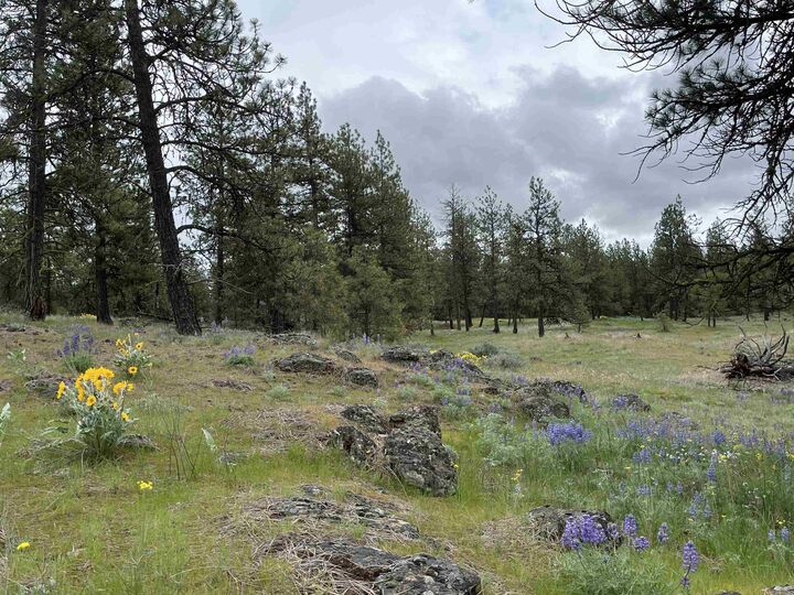 Property Photo: 21301 S Harrison Rd WA 99008