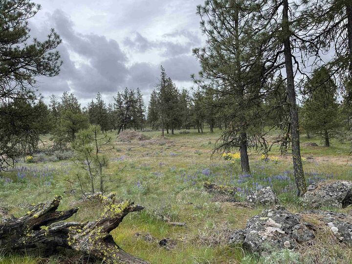 Property Photo:  21301 S Harrison Rd  WA 99008 