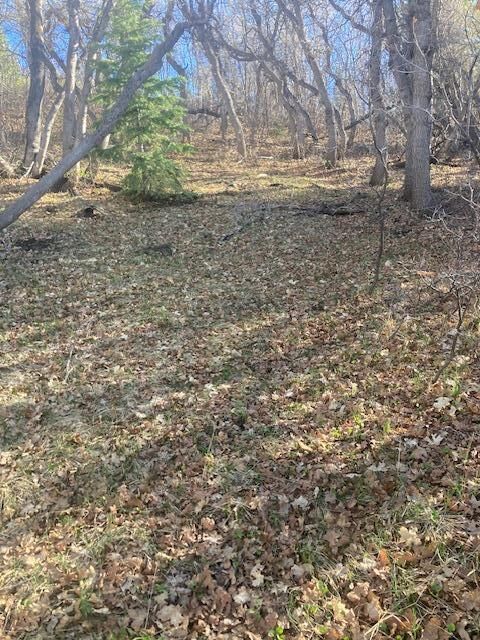 Property Photo: 1 Acre Lot N Kiwi Ln 102-A-2-C-Hv UT 84767