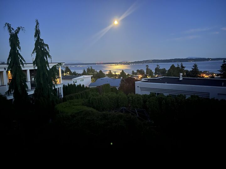 Property Photo: 15662 Semiahmoo Avenue BC V4B 1V4