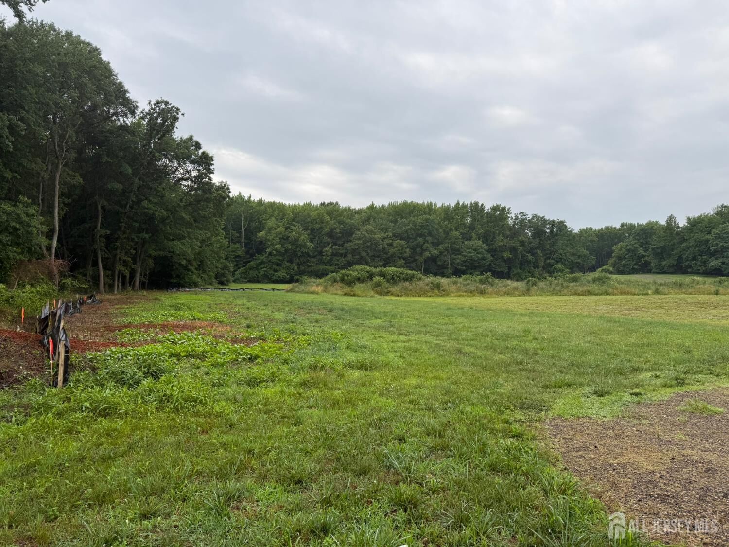 Property Photo:  59 Jurgelsky Road  NJ 08831 