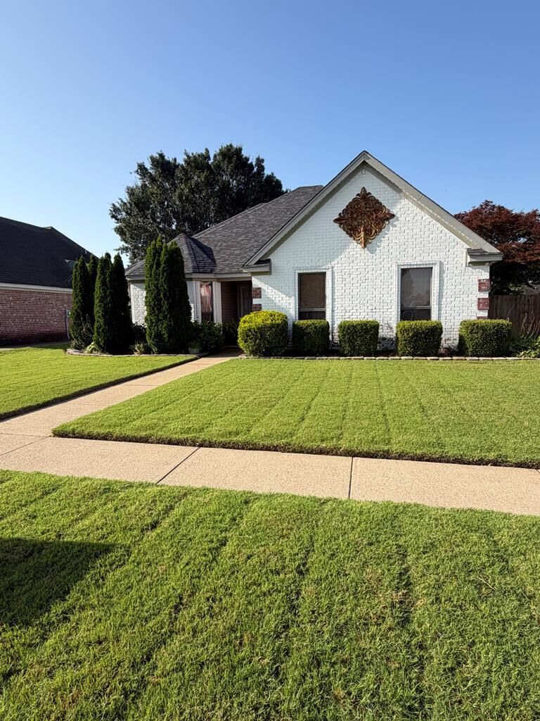 Property Photo:  227 Whispering Wind Circle  AR 72364 