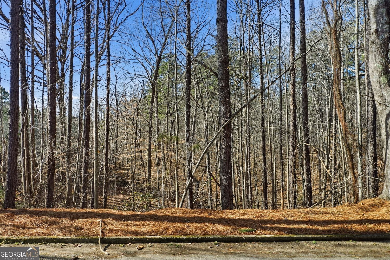Property Photo:  0000 Sixes Road  GA 30114 