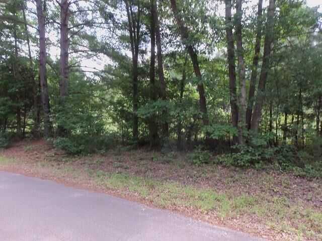 Property Photo:  Tbd Samples Road  TX 75662 