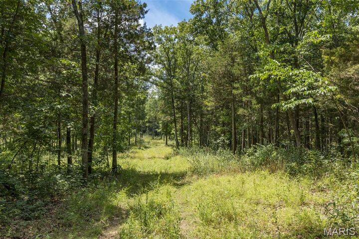 Property Photo:  0 Dodson  MO 63020 