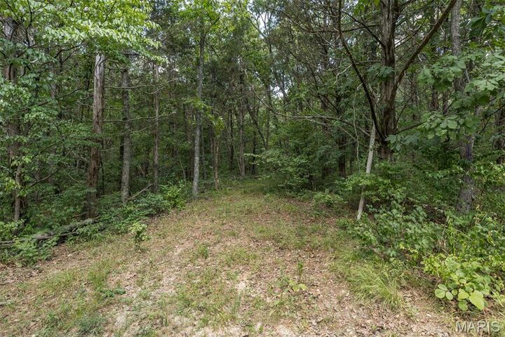 Property Photo: 0 Dodson MO 63020