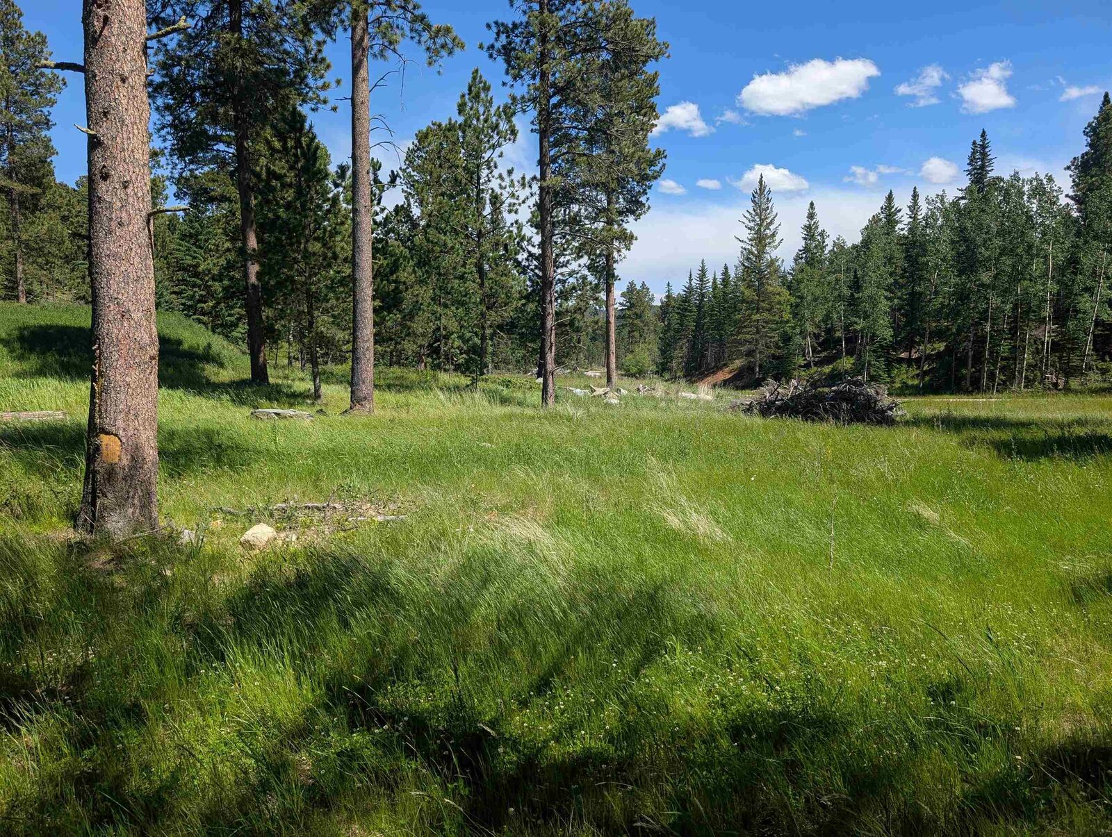 Property Photo:  Tbd Rochford Road  SD 57754 
