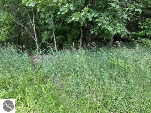 Property Photo:  Tbd N Lincoln  MI 48888 