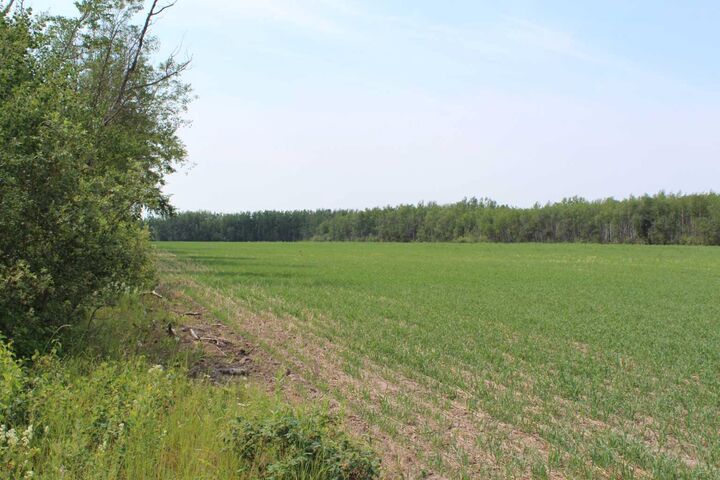 Property Photo: 125 Range Road SE AB T0H 1N0