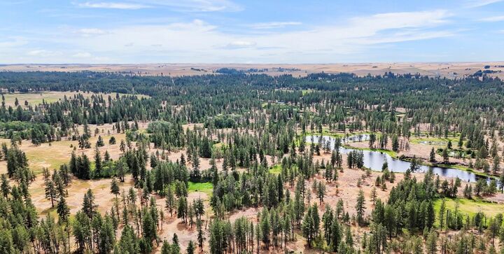 Property Photo: Nka S Stangland Rd WA 99022