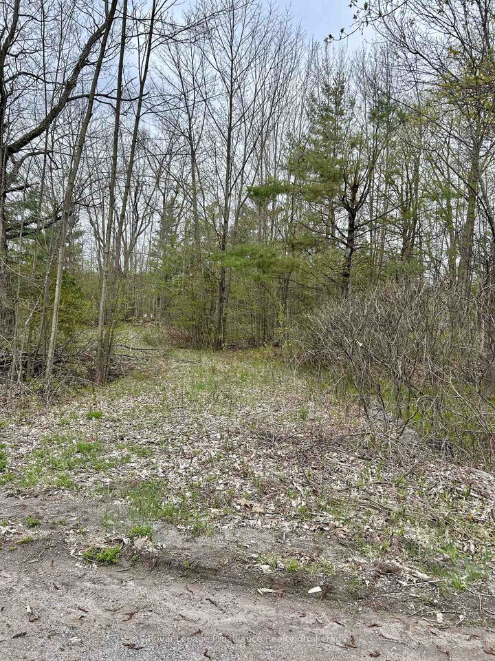 Property Photo:  31 Glen Ridge Road  ON K0K 2M0 