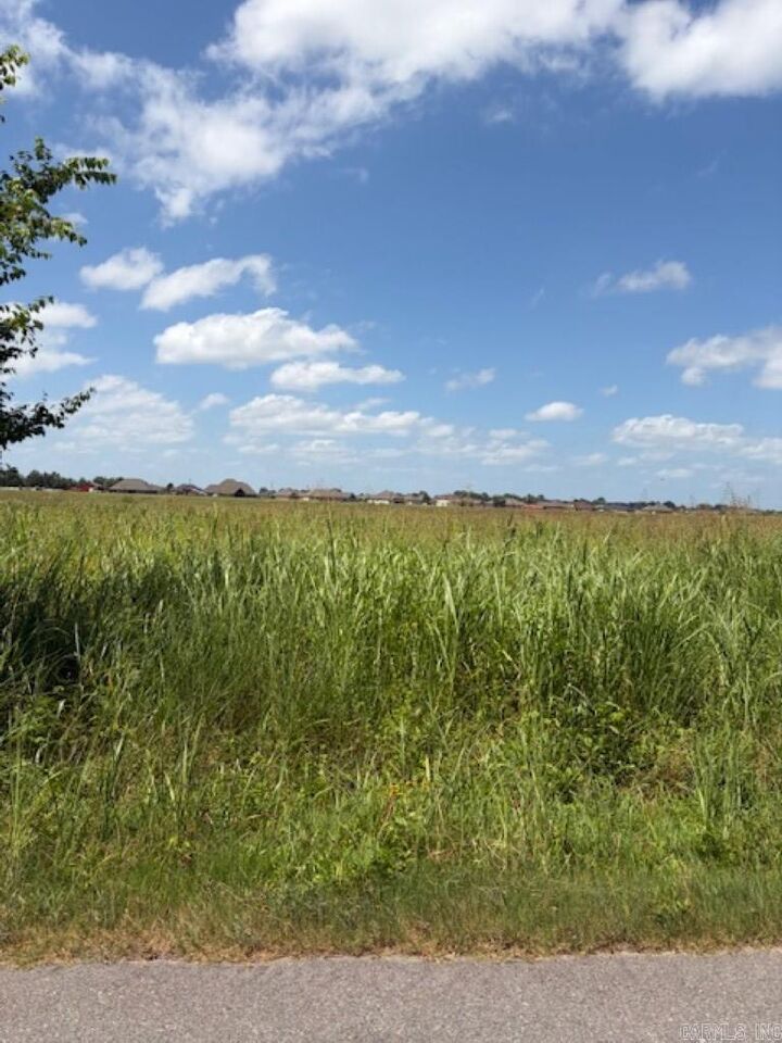 Property Photo: Lot 10 Upper Steel Bend Road AR 72142