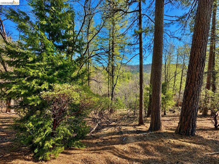 Property Photo: 23804 S Oxbow Lane CA 95370